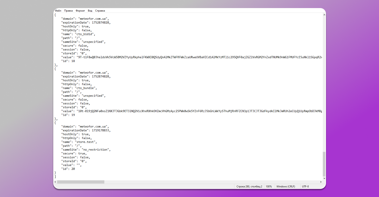 An example of cookie viewer Chrome in a notepad