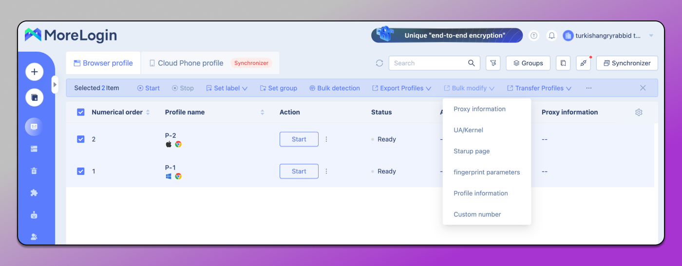 Bulk management MoreLogin Dolphin Anty