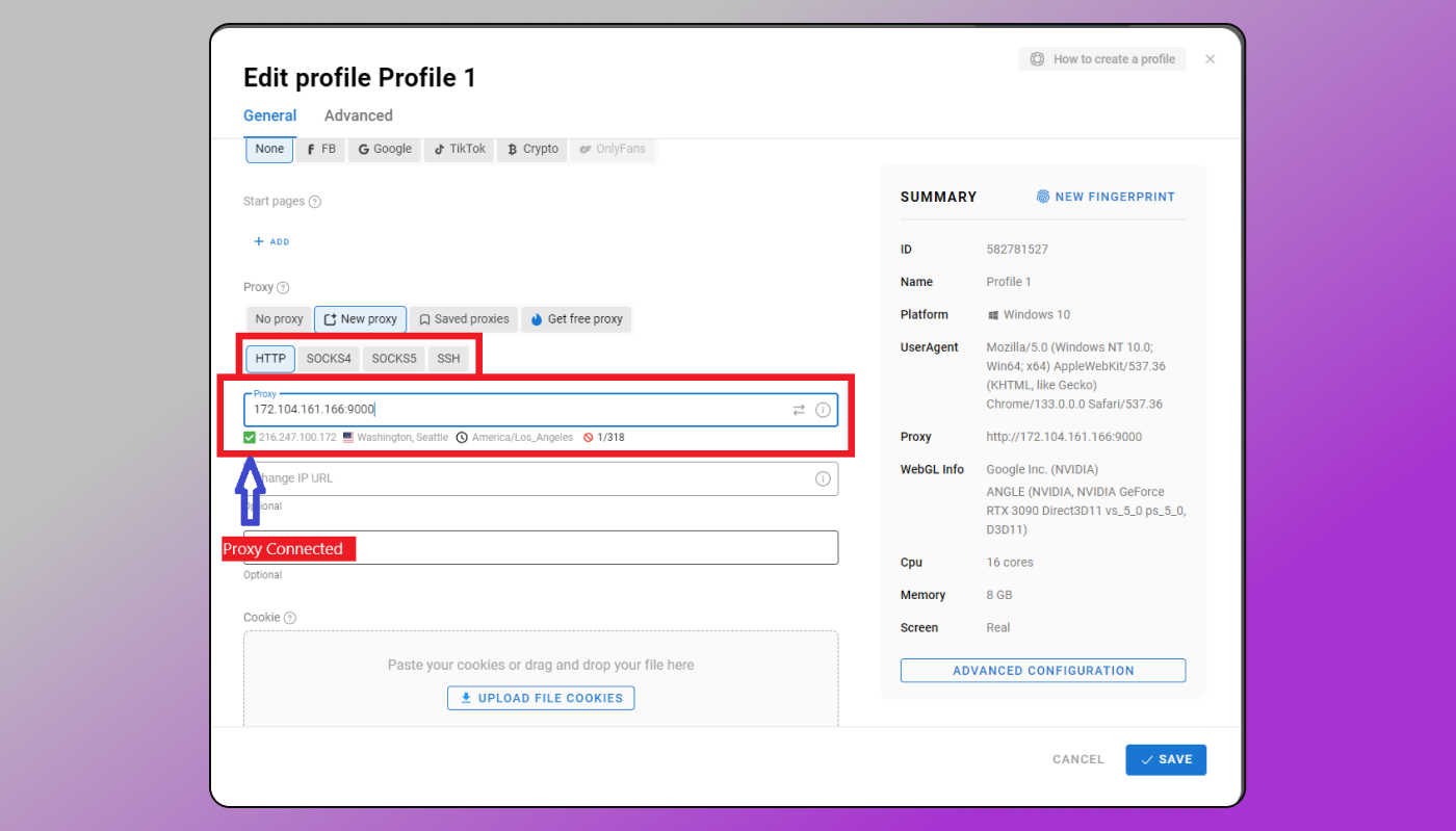 Adding proxy Dolphin Anty